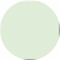 Столешница Верзалит, цвет 143 Бледно зеленый