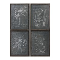 Картина Root Study Framed Prints, S/4